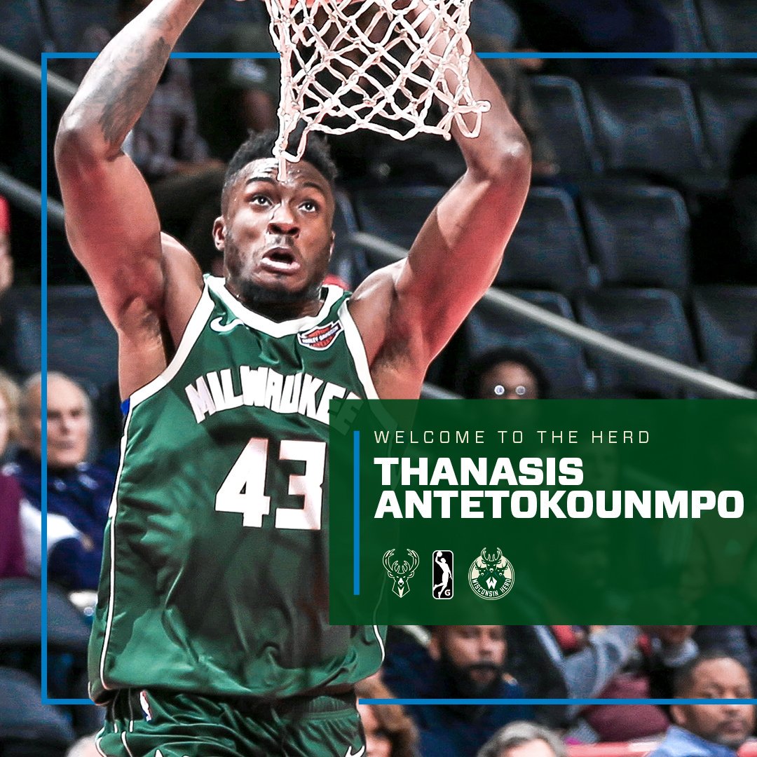 主帅阿莱格 主帅阿莱格